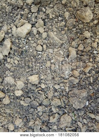 THERE CAN BE NO LIFE WITHOUT SOIL AND NO SOIL WITHOUT LIFE. SOIL WITH FULL