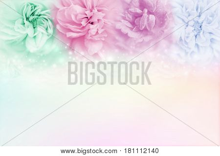 multicolor roses in a soft pastel background, which conveys the concepts
of love Valentine's Day and Wedding Invitation card  making