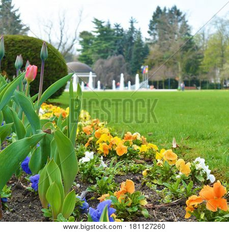 Flowers in park on famous kolonada street in spa city Podebrady Czech republic. View on fontain.