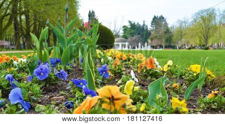 Flowers in park on famous kolonada street in spa city Podebrady Czech republic. View on fontain.