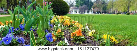 Flowers in park on famous kolonada street in spa city Podebrady Czech republic. View on fontain.