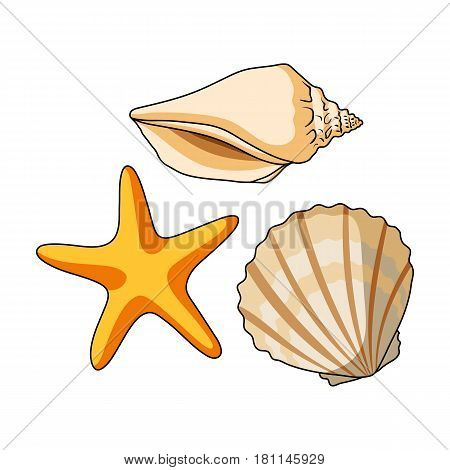 Seashells from the bottom of the sea.Summer rest single icon in cartoon style vector symbol stock web illustration.
