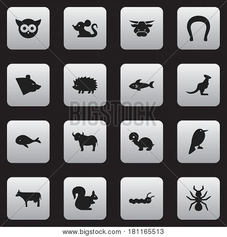 Set Of 16 Editable Nature Icons. Includes Symbols Such As Rat, Ox, Kine And More. Can Be Used For Web, Mobile, UI And Infographic Design.