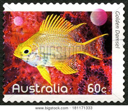 AUSTRALIA - CIRCA 2010: A used postage stamp from Australia depicting an image of a Golden Damsel fish circa 2010.