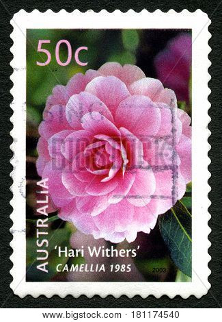 AUSTRALIA - CIRCA 2003: A used postage stamp from Australia depicting an image of a Camellia flower circa 2003.