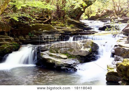 The river of ponty