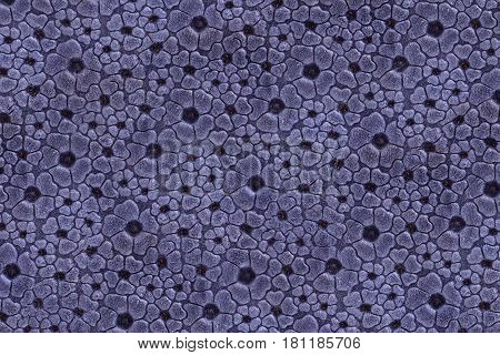 Leather texture and backround , genuine leather