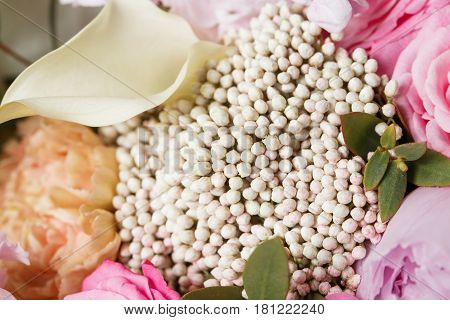 Ozothamnus diosmifolius Dark Pink Panther in a mixed bouquet.