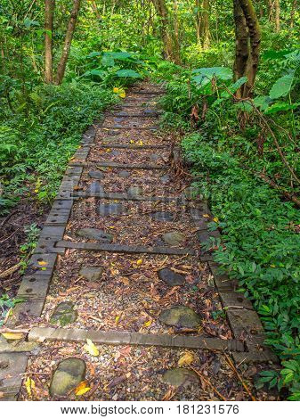 Rocky Gravel Path