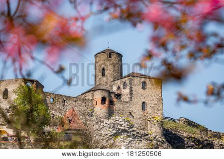 Gothic castle ruins Strekov near Usti nad Labem, Czech Republic