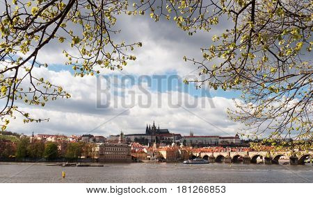 Spring panoramic view of the Prague Castle and the Charles Bridge framed by leaves