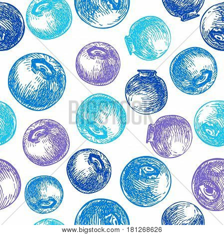 Blueberry vector seamless pattern drawing. Isolated hand drawn berry on white background.  Summer fruit engraved style background. Detailed vegetarian food.