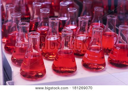Laboratory test tube shaker. red color in glass