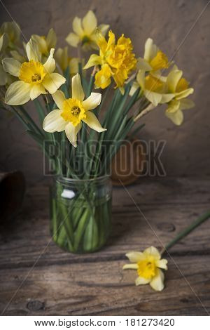 Amazing grunge background with Yellow flowers daffodils on turquoise texture. Beautiful Colorful Greeting Card for Mothers Day, Birthday, March 8. Top view, Flat lay. Horizontal Image With Copy Space