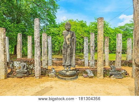 The Buddha Statue