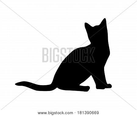 Cat Silhouette On White Backgruond.