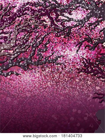 Japanese cherry blossom in the park at night