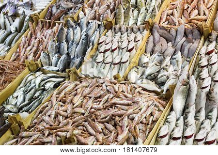 Freshly cought sea fish sold on market stall
