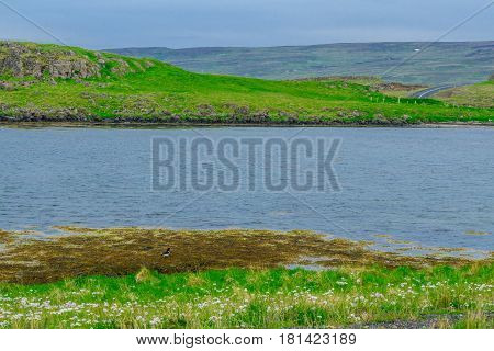 Coastline And Landscape Along The Steingrimsfjordur