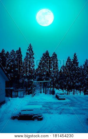 Snow covered the ground and car in winter. Silhouette of trees night sky and full moon on spooky green background. High contrast. Cross process and vintage tone. The moon were NOT furnished by NASA.