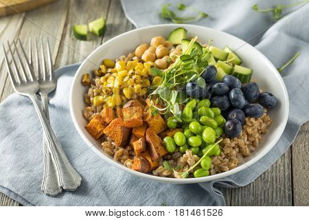 Raw Organic Healthy Buddha Bowl