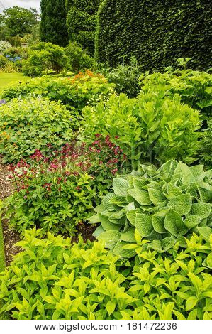 Beautiful green garden landscaping in the summer