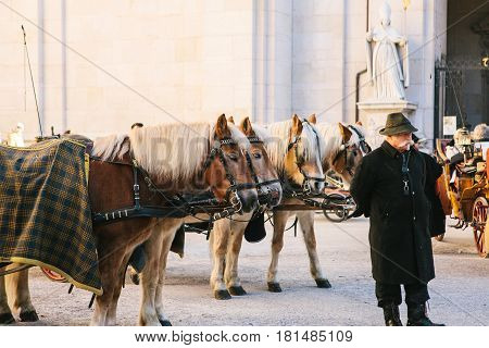 Austria, Salzburg, January 01, 2017: the Horse. Entertainment of tourists (horseback riding) in the Austrian city of Salzburg - hometown of Mozart. Vacation, holidays, attractions.
