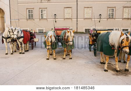 Horse. Entertainment of tourists (horseback riding) in the Austrian city of Salzburg - hometown of Mozart. Vacation, holidays, attractions.