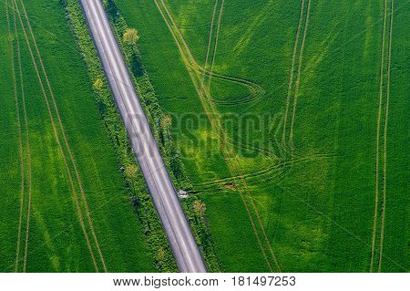 Aerial view of the spring sown field