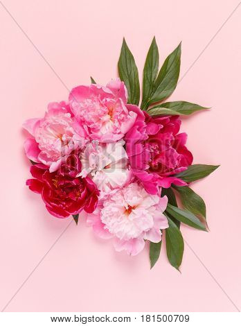 nice peonies