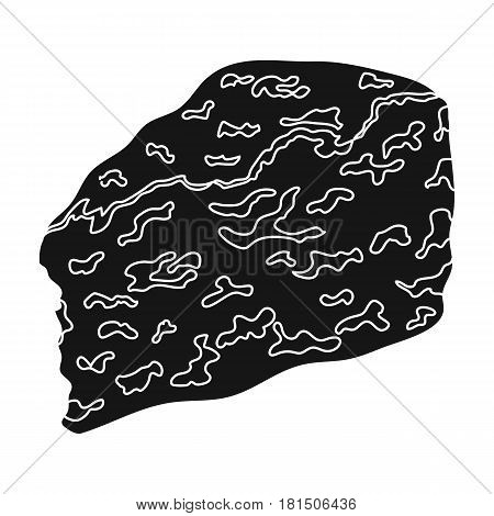 Roguefort.Different kinds of cheese single icon in black style vector symbol stock illustration .