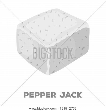 Pepper gack.Different kinds of cheese single icon in black style vector symbol stock illustration .