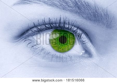 Close up view of green female eye wearing contact lenses. Toned and colored image. Good vision vision correction or observation concept
