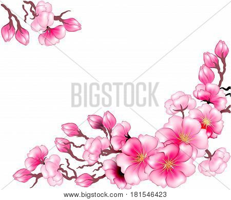Beautiful vector background of Japanese cherry twigs