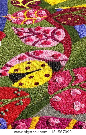 SPELLO ITALY - JUNE 7: Floral Carpet on June 7 2015 in Spello Italy. This event takes place every year and every sector honors a specific artist or subject
