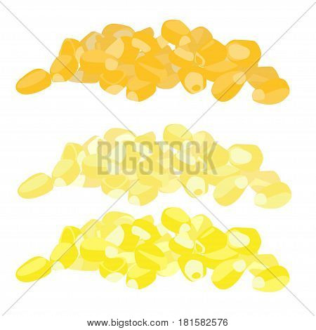 Yellow Corn Seed