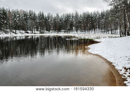 Inter Forest Landscape. Snowed Shoreline, Pine Trees Reflecting In The Water Of Lake.