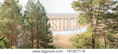 Beautiful View At The Edge Of The Forest