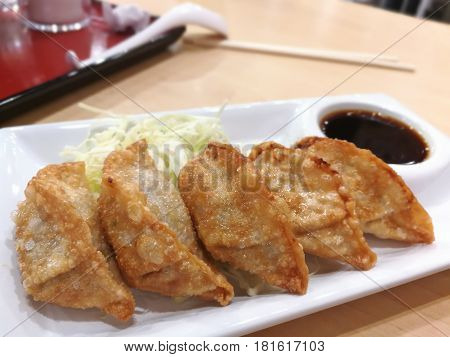Homemade Asian Vegeterian Potstickers with soy sauce and pork Thai