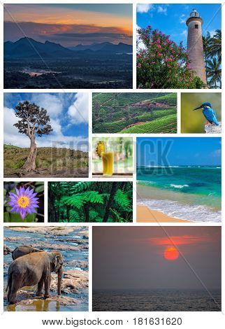 Pictures set consisting of nine beautiful photoes about Sri Lanka