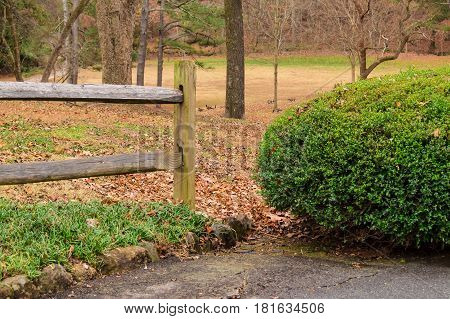 End of the wooden fence and part of bush closeup in the Lullwater Park Atlanta USA