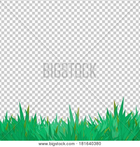 Vector Grass Elements On Transparent Groundwork