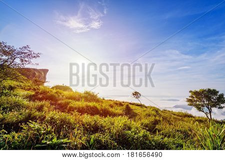 Beautiful landscape nature of sunrise on peak mountain with sun cloud fog and bright colors of sky in winter at Phu Chi Fa Forest Park is a famous tourist attraction of Chiang Rai Province Thailand