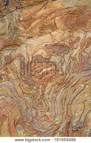 Liesegang Formation Details in Garden of the Gods in Shawnee National Forest in Illinois