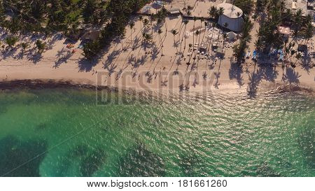 View of the beach with palm trees on top.