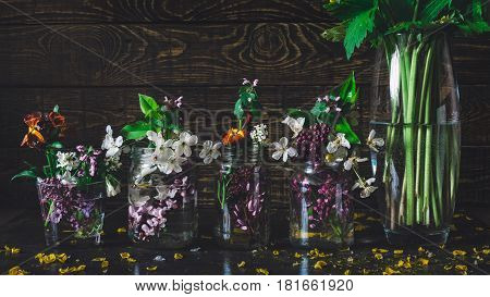 Vivid picturesque bouquets of colorful spring flowers in glass vases bottles, standing in a row on a dark wooden background