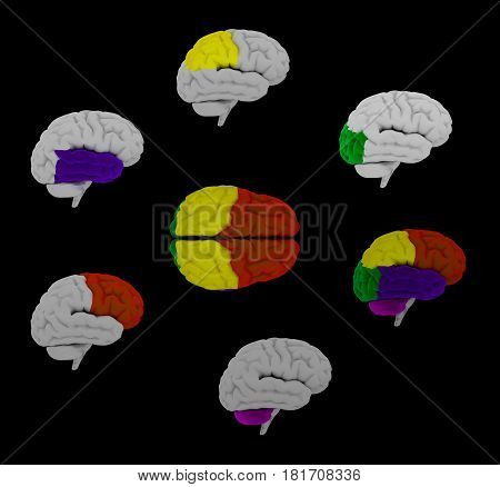 3d rendering of the human of the brain