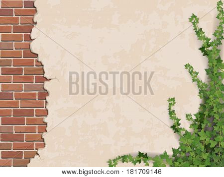 Ivy on weathered wall background with brick masonry.  Vector realistic illustration.