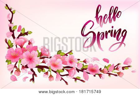Branch of sakura or cherry blossom branch with blooming and leaves on light pink background. Cherry blossom japan spring design with callography hello spring. Vector illustration stock vector.