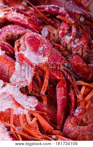 Frozen crayfish with white wine and garlic ready for cooking.